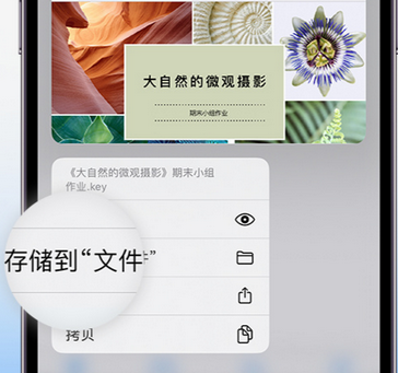 五桂山街道apple维修中心分享iPhone文件应用中存储和找到下载文件