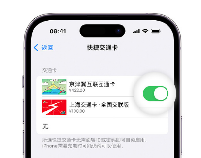 五桂山街道apple维修点分享iPhone上更换Apple Pay快捷交通卡手绘卡面 