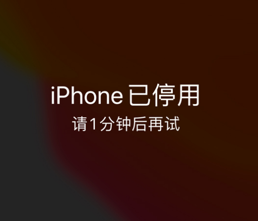 五桂山街道苹果手机维修分享:iPhone 显示“不可用”或“已停用”怎么办？还能保留数据吗？ 